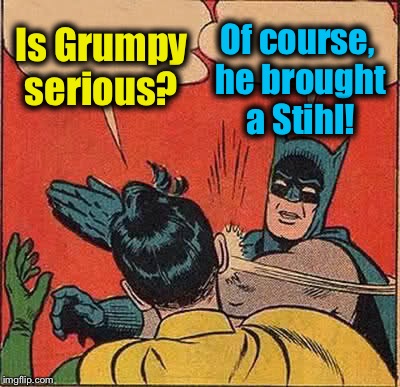 Batman Slapping Robin Meme | Is Grumpy serious? Of course, he brought a Stihl! | image tagged in memes,batman slapping robin | made w/ Imgflip meme maker