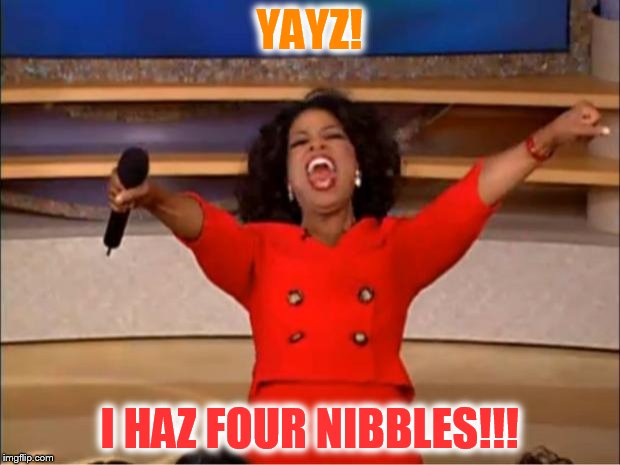 Oprah You Get A Meme | YAYZ! I HAZ FOUR NIBBLES!!! | image tagged in memes,oprah you get a | made w/ Imgflip meme maker