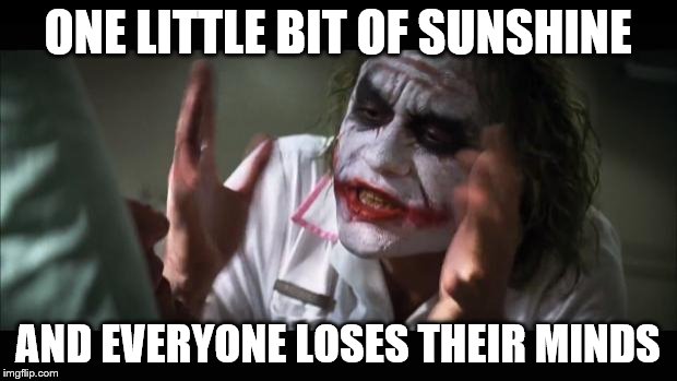 Noise Pollution in Spring | ONE LITTLE BIT OF SUNSHINE; AND EVERYONE LOSES THEIR MINDS | image tagged in memes,and everybody loses their minds | made w/ Imgflip meme maker