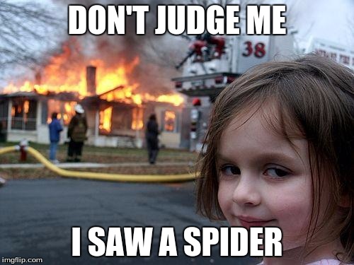 Disaster Girl | DON'T JUDGE ME; I SAW A SPIDER | image tagged in memes,disaster girl | made w/ Imgflip meme maker