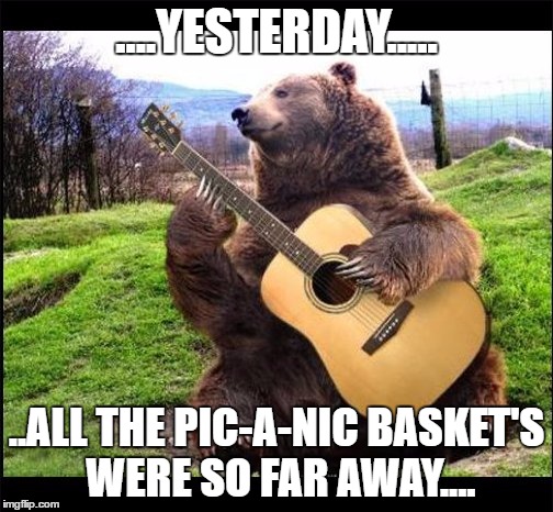 Yesterday Bear | ....YESTERDAY..... ..ALL THE PIC-A-NIC BASKET'S WERE SO FAR AWAY.... | image tagged in bear,guitar bear | made w/ Imgflip meme maker