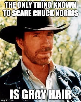 Chuck Norris | THE ONLY THING KNOWN TO SCARE CHUCK NORRIS; IS GRAY HAIR | image tagged in memes,chuck norris | made w/ Imgflip meme maker