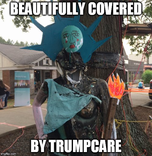 Beautifully Covered | BEAUTIFULLY COVERED; BY TRUMPCARE | image tagged in trumpcare | made w/ Imgflip meme maker