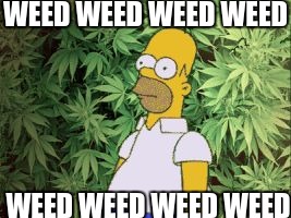 simpson and weed | WEED WEED WEED WEED; WEED WEED WEED WEED | image tagged in simpson and weed | made w/ Imgflip meme maker