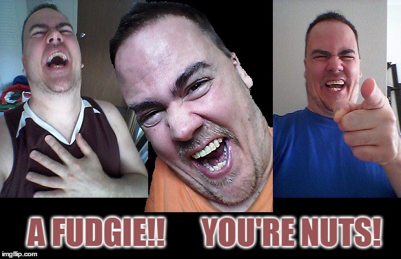 LMAO! | A FUDGIE!!      YOU'RE NUTS! | image tagged in lmao | made w/ Imgflip meme maker