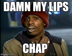 Y'all Got Any More Of That | DAMN MY LIPS; CHAP | image tagged in memes,yall got any more of | made w/ Imgflip meme maker