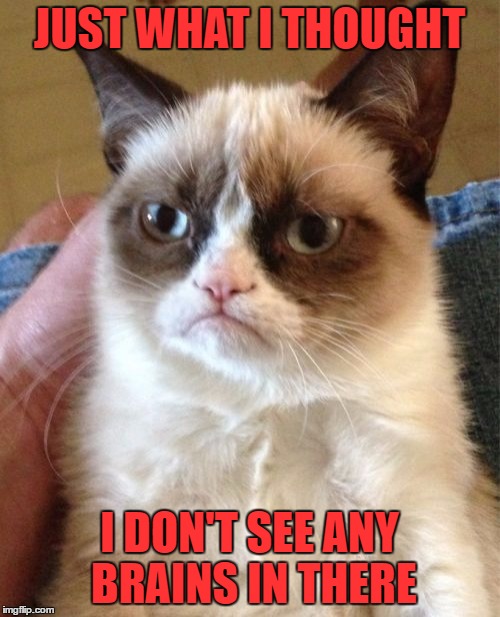 Grumpy Cat Meme | JUST WHAT I THOUGHT I DON'T SEE ANY BRAINS IN THERE | image tagged in memes,grumpy cat | made w/ Imgflip meme maker