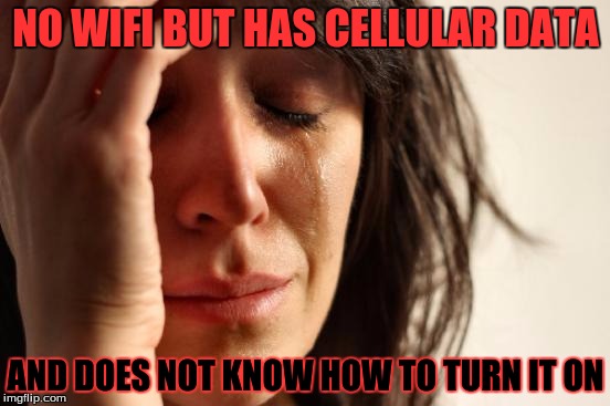 First World Problems | NO WIFI BUT HAS CELLULAR DATA; AND DOES NOT KNOW HOW TO TURN IT ON | image tagged in memes,first world problems | made w/ Imgflip meme maker