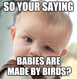 Skeptical Baby | SO YOUR SAYING; BABIES ARE MADE BY BIRDS? | image tagged in memes,skeptical baby | made w/ Imgflip meme maker