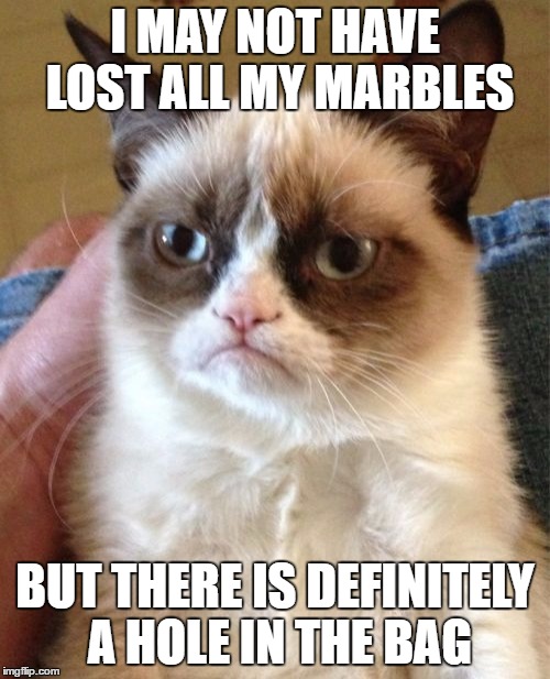 Grumpy Cat | I MAY NOT HAVE LOST ALL MY MARBLES; BUT THERE IS DEFINITELY A HOLE IN THE BAG | image tagged in memes,grumpy cat | made w/ Imgflip meme maker