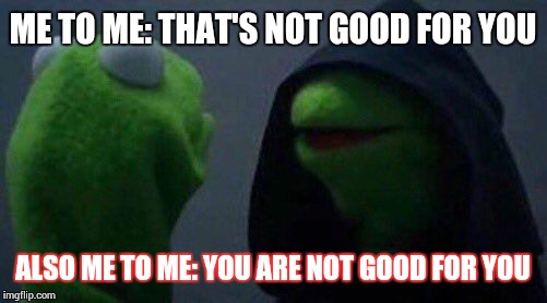 kermit me to me | ME TO ME: THAT'S NOT GOOD FOR YOU; ALSO ME TO ME: YOU ARE NOT GOOD FOR YOU | image tagged in kermit me to me | made w/ Imgflip meme maker