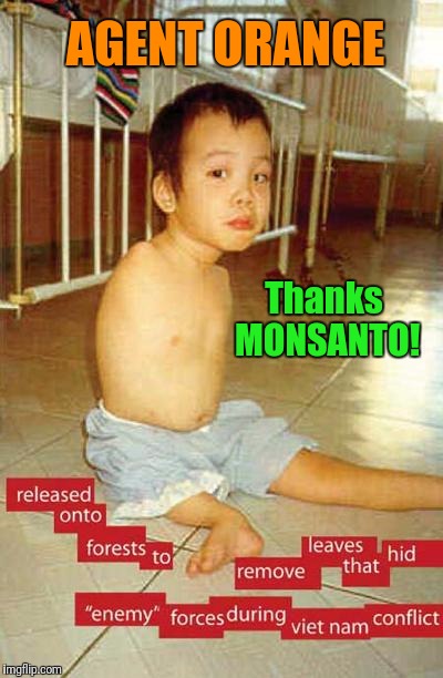 Thanks Monsanto! | AGENT ORANGE; Thanks MONSANTO! | image tagged in monsanto | made w/ Imgflip meme maker
