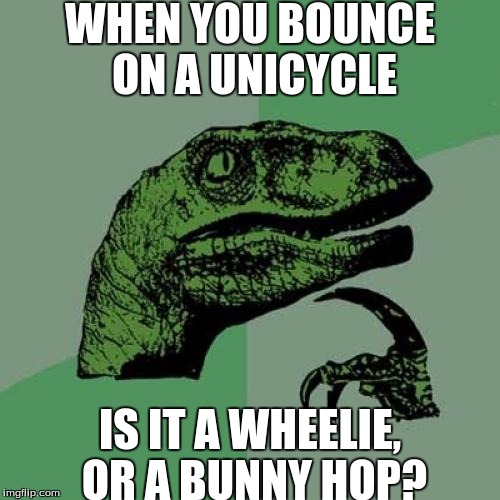 the questions of life | WHEN YOU BOUNCE ON A UNICYCLE; IS IT A WHEELIE, OR A BUNNY HOP? | image tagged in memes,philosoraptor | made w/ Imgflip meme maker