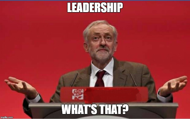 Corbyn Blank | LEADERSHIP; WHAT'S THAT? | image tagged in corbyn blank | made w/ Imgflip meme maker