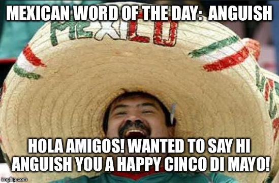 mexican word of the day | MEXICAN WORD OF THE DAY:  ANGUISH; HOLA AMIGOS! WANTED TO SAY HI ANGUISH YOU A HAPPY CINCO DI MAYO! | image tagged in mexican word of the day | made w/ Imgflip meme maker