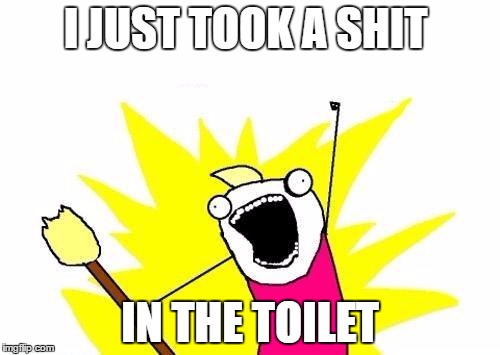 X All The Y Meme | I JUST TOOK A SHIT; IN THE TOILET | image tagged in memes,x all the y | made w/ Imgflip meme maker