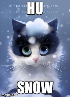 Snow | HU; SNOW | image tagged in snow,cats | made w/ Imgflip meme maker