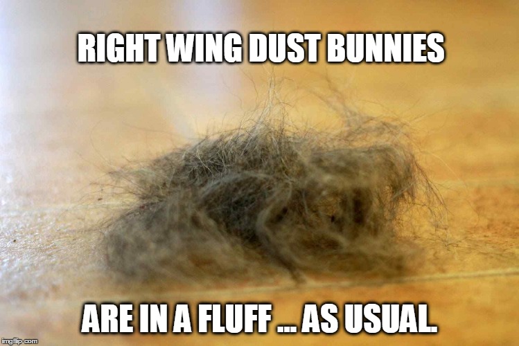 Snowflakes, meet Dust Bunnies. | RIGHT WING DUST BUNNIES; ARE IN A FLUFF ... AS USUAL. | image tagged in dust bunny,snowflakes,republicans,trumpster,reality check,you're welcome | made w/ Imgflip meme maker