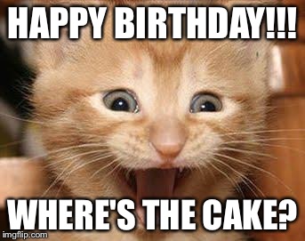 Excited Cat | HAPPY BIRTHDAY!!! WHERE'S THE CAKE? | image tagged in memes,excited cat | made w/ Imgflip meme maker