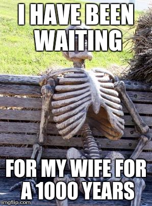 Waiting Skeleton Meme |  I HAVE BEEN WAITING; FOR MY WIFE FOR A 1000 YEARS | image tagged in memes,waiting skeleton | made w/ Imgflip meme maker