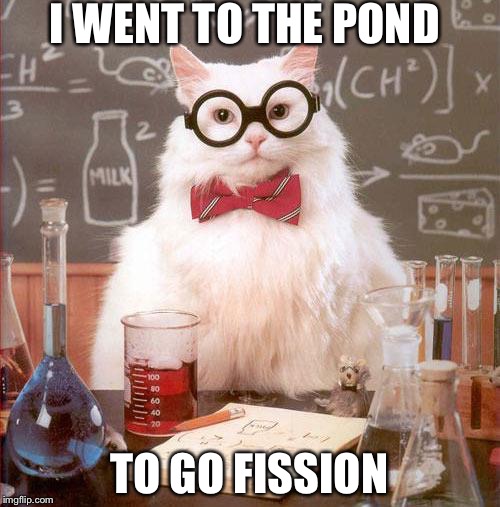 Science Cat | I WENT TO THE POND; TO GO FISSION | image tagged in science cat | made w/ Imgflip meme maker