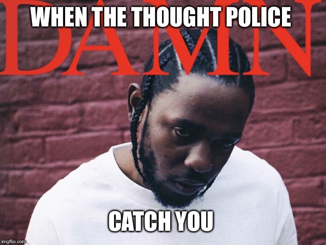 WHEN THE THOUGHT POLICE; CATCH YOU | image tagged in damn | made w/ Imgflip meme maker
