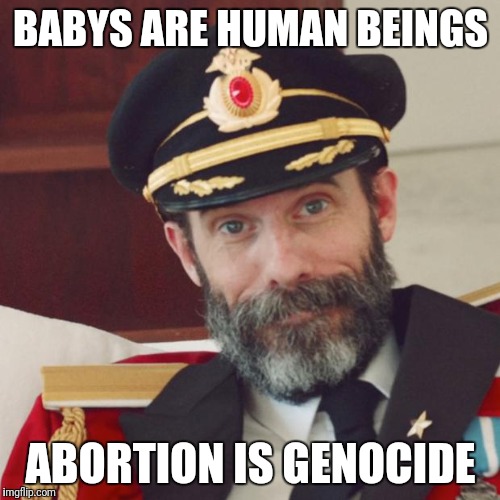 Obviously Genocide | BABYS ARE HUMAN BEINGS; ABORTION IS GENOCIDE | image tagged in captain obvious,abortion,abortion is murder,abortion is genocide,abortion is murder | made w/ Imgflip meme maker