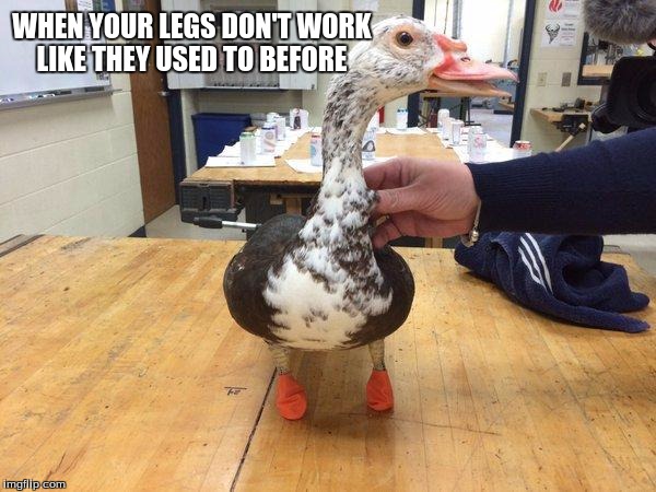 crippled  | WHEN YOUR LEGS DON'T WORK LIKE THEY USED TO BEFORE | image tagged in funny | made w/ Imgflip meme maker