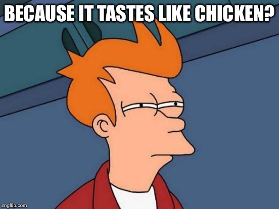 Futurama Fry Meme | BECAUSE IT TASTES LIKE CHICKEN? | image tagged in memes,futurama fry | made w/ Imgflip meme maker