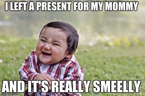 Evil Toddler Meme | I LEFT A PRESENT FOR MY MOMMY; AND IT'S REALLY SMEELLY | image tagged in memes,evil toddler | made w/ Imgflip meme maker