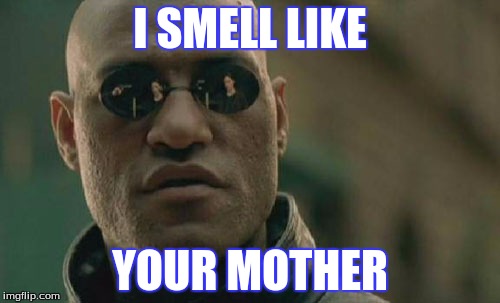 Matrix Morpheus Meme | I SMELL LIKE; YOUR MOTHER | image tagged in memes,matrix morpheus | made w/ Imgflip meme maker