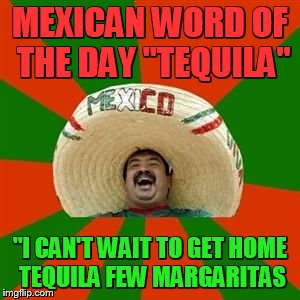 Happy Cinco De Mayo | MEXICAN WORD OF THE DAY "TEQUILA"; "I CAN'T WAIT TO GET HOME TEQUILA FEW MARGARITAS | image tagged in succesful mexican | made w/ Imgflip meme maker