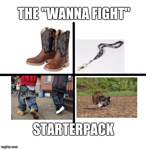 Blank Starter Pack | THE "WANNA FIGHT"; STARTERPACK | image tagged in x starter pack | made w/ Imgflip meme maker
