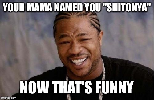 Yo Dawg Heard You Meme | YOUR MAMA NAMED YOU "SHITONYA"; NOW THAT'S FUNNY | image tagged in memes,yo dawg heard you | made w/ Imgflip meme maker