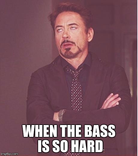 Face You Make Robert Downey Jr Meme | WHEN THE BASS IS SO HARD | image tagged in memes,face you make robert downey jr | made w/ Imgflip meme maker