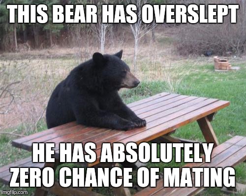 Bad Luck Bear | THIS BEAR HAS OVERSLEPT; HE HAS ABSOLUTELY ZERO CHANCE OF MATING | image tagged in memes,bad luck bear | made w/ Imgflip meme maker