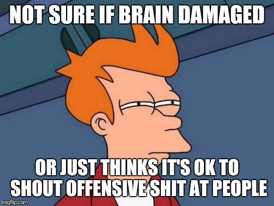 Futurama Fry | NOT SURE IF BRAIN DAMAGED; OR JUST THINKS IT'S OK TO SHOUT OFFENSIVE SHIT AT PEOPLE | image tagged in memes,futurama fry | made w/ Imgflip meme maker