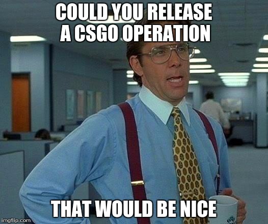 That Would Be Great | COULD YOU RELEASE A CSGO OPERATION; THAT WOULD BE NICE | image tagged in memes,that would be great | made w/ Imgflip meme maker