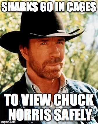 Chuck Norris Meme | SHARKS GO IN CAGES; TO VIEW CHUCK NORRIS SAFELY | image tagged in memes,chuck norris,shark,chuck norris week,savage | made w/ Imgflip meme maker