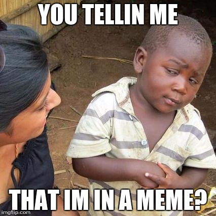 Third World Skeptical Kid Meme | YOU TELLIN ME; THAT IM IN A MEME? | image tagged in memes,third world skeptical kid | made w/ Imgflip meme maker