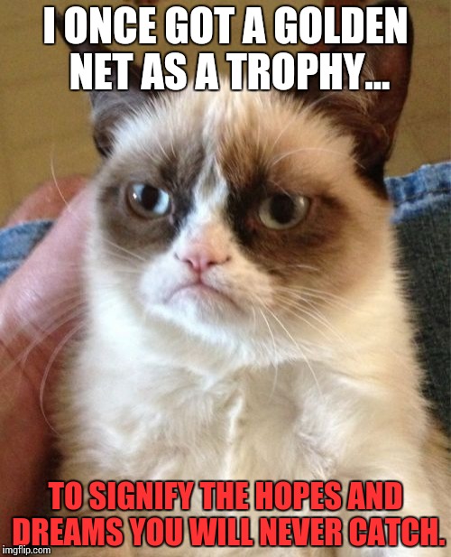 The Greatest Burn! | I ONCE GOT A GOLDEN NET AS A TROPHY... TO SIGNIFY THE HOPES AND DREAMS YOU WILL NEVER CATCH. | image tagged in memes,grumpy cat | made w/ Imgflip meme maker