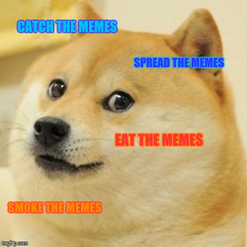 Anyone know the song "Meme machine"? | CATCH THE MEMES; SPREAD THE MEMES; EAT THE MEMES; SM0KE THE MEMES | image tagged in memes,doge | made w/ Imgflip meme maker