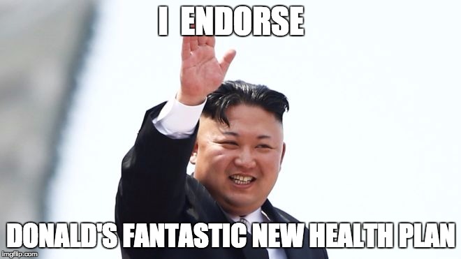 endorse your favourite man | I  ENDORSE; DONALD'S FANTASTIC NEW HEALTH PLAN | image tagged in donald trump approves,kim jong un,kim jong un - explaining something | made w/ Imgflip meme maker