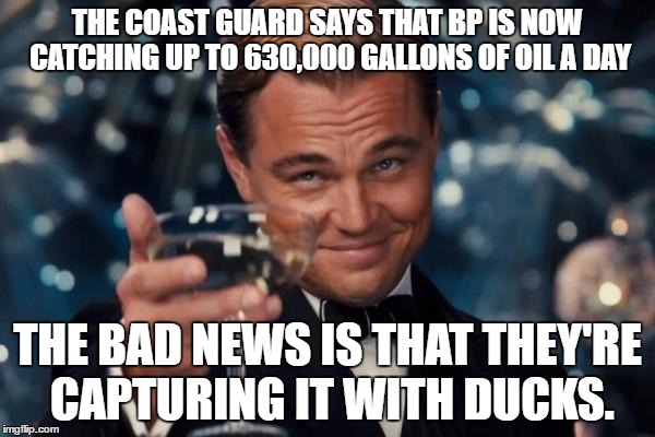 Leonardo Dicaprio Cheers Meme | THE COAST GUARD SAYS THAT BP IS NOW CATCHING UP TO 630,000 GALLONS OF OIL A DAY; THE BAD NEWS IS THAT THEY'RE CAPTURING IT WITH DUCKS. | image tagged in memes,leonardo dicaprio cheers | made w/ Imgflip meme maker