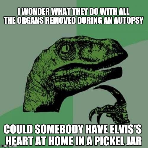 Maybe it'll show up on ebay some day | I WONDER WHAT THEY DO WITH ALL THE ORGANS REMOVED DURING AN AUTOPSY; COULD SOMEBODY HAVE ELVIS'S HEART AT HOME IN A PICKEL JAR | image tagged in memes,philosoraptor | made w/ Imgflip meme maker