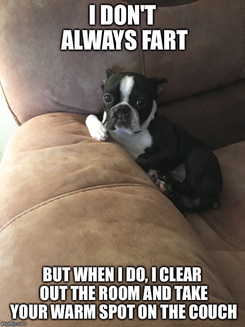 I DON'T ALWAYS FART; BUT WHEN I DO, I CLEAR OUT THE ROOM AND TAKE YOUR WARM SPOT ON THE COUCH | image tagged in peytthegreat | made w/ Imgflip meme maker