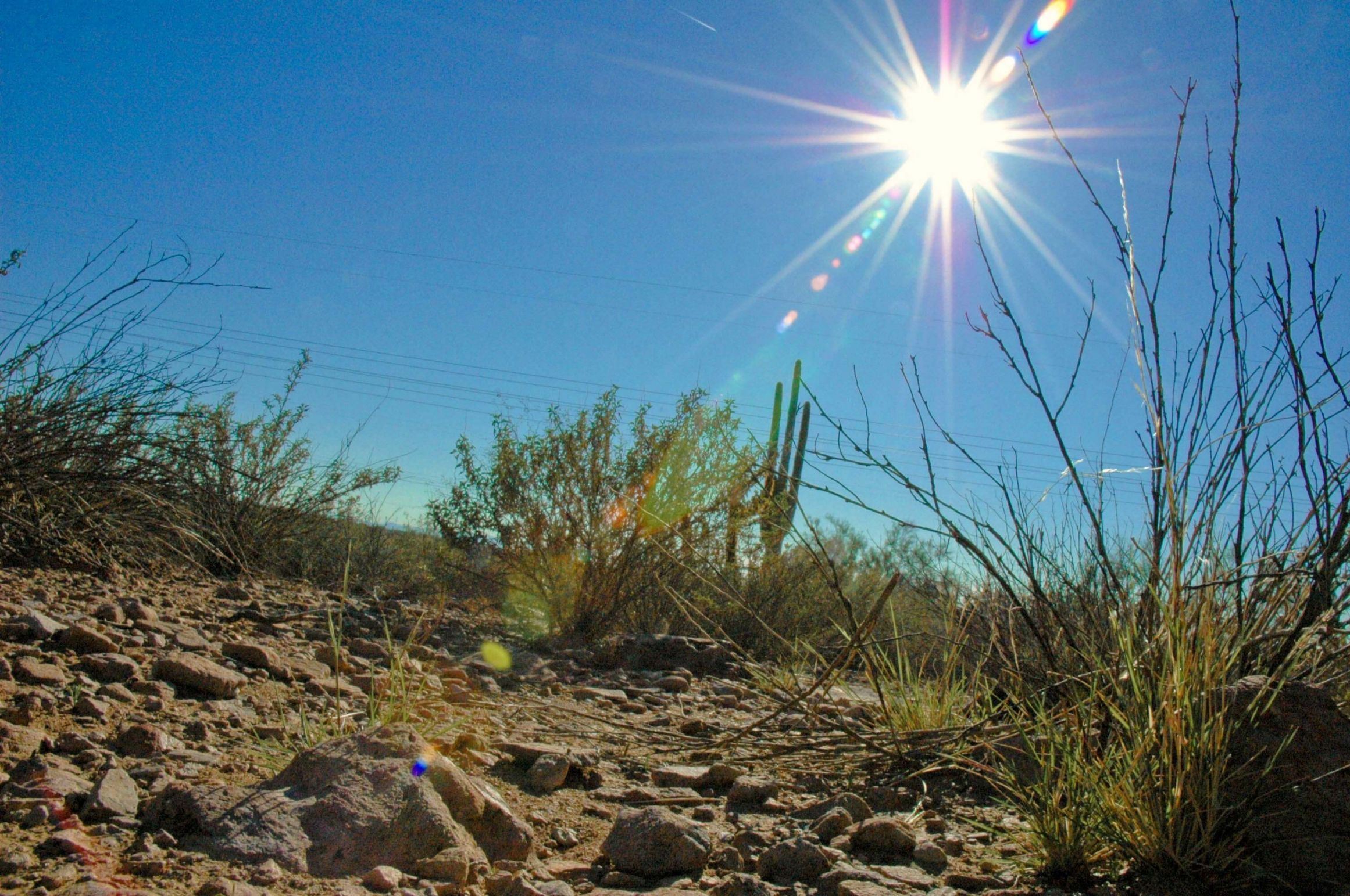 Tucson Arizona scorching heat Blank Meme Template