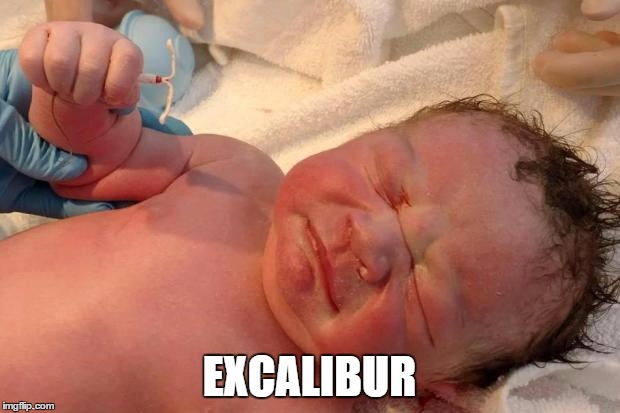 Excalibur | EXCALIBUR | image tagged in baby | made w/ Imgflip meme maker