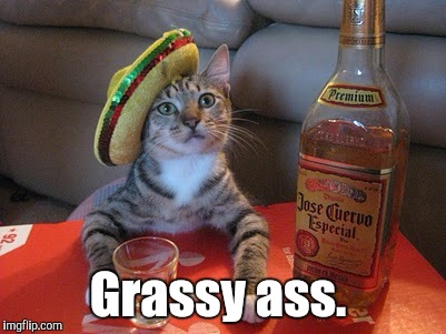 Tequila | Grassy ass. | image tagged in tequila | made w/ Imgflip meme maker