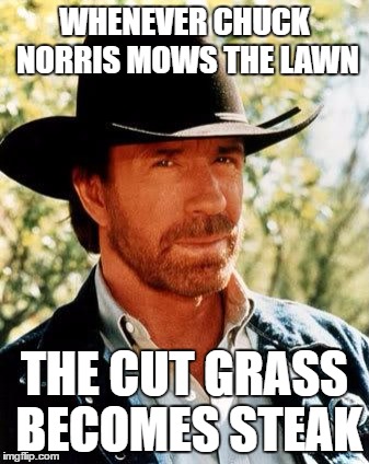 Chuck Norris | WHENEVER CHUCK NORRIS MOWS THE LAWN; THE CUT GRASS BECOMES STEAK | image tagged in memes,chuck norris | made w/ Imgflip meme maker
